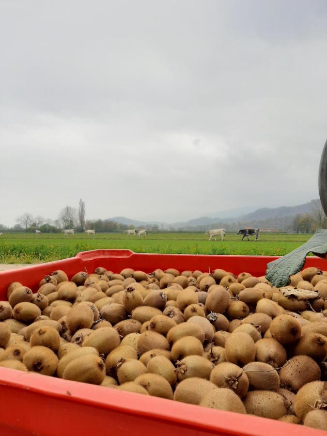 Agriturismo Fior Di Campo Dronero Eksteriør billede