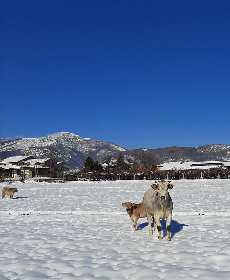 Agriturismo Fior Di Campo Dronero Eksteriør billede