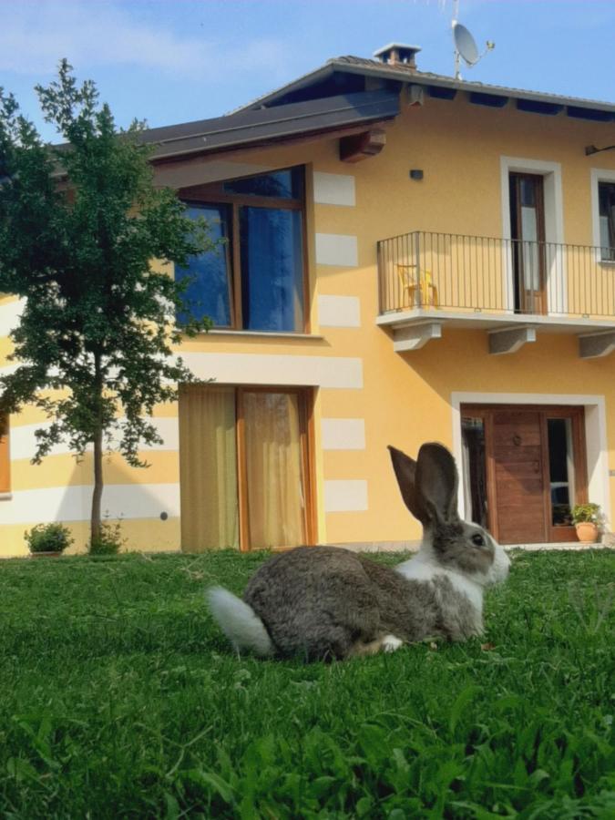 Agriturismo Fior Di Campo Dronero Eksteriør billede