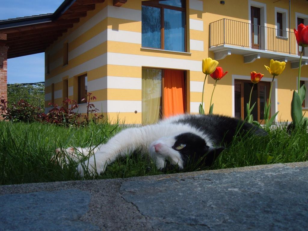 Agriturismo Fior Di Campo Dronero Eksteriør billede